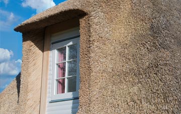 Dyffryn Castell thatch roof disadvantages